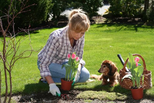 Inspector reviewing lawn and plants in mid-investigation