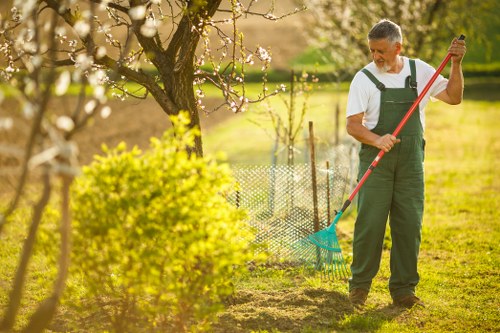 Maintaining a wooden deck
